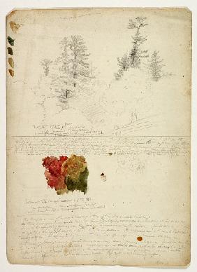 Beautiful Groups of Pines; Tints from Maples, New Hampshire, September 30th 1828