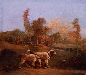Spaniels in a landscape with keeper