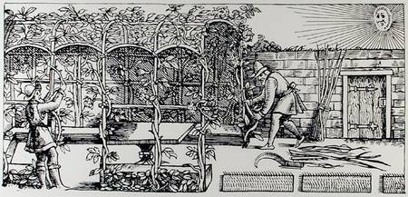 Arbour being built as a shade against the sun, from 'The Gardener's Labyrinth' von Thomas Hill