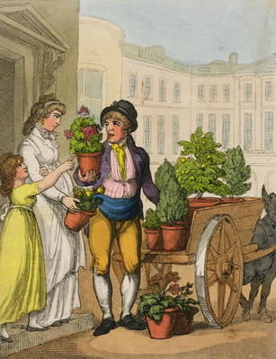 Cries of London: The Garden Pot Seller, 1799 (colour aquatint) von Thomas Rowlandson