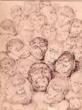 Monkey Faces 1815