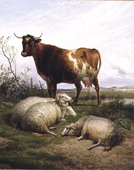 Sheep and a Cow Grazing von Thomas Sidney Cooper