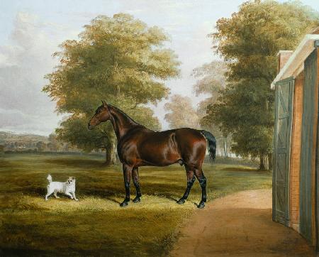 A Bay Horse with a Terrier 1845