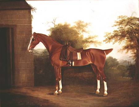 Horse with side saddle von Thomas Weaver
