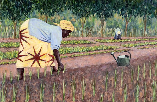Planting Onions, 2005 (oil on canvas)  von Tilly  Willis