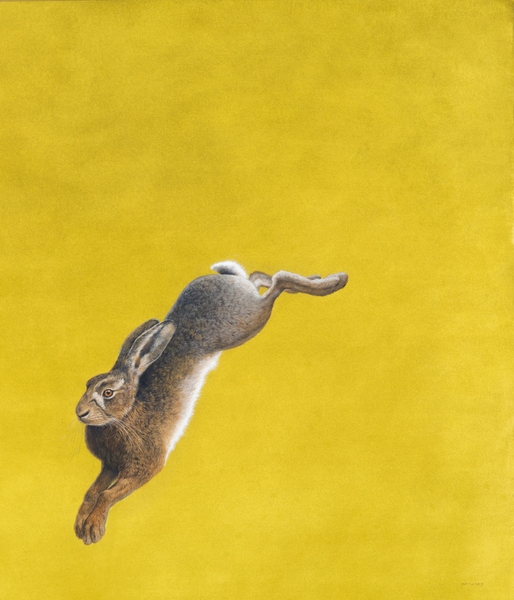 The Leap-Yellow von Tim Hayward