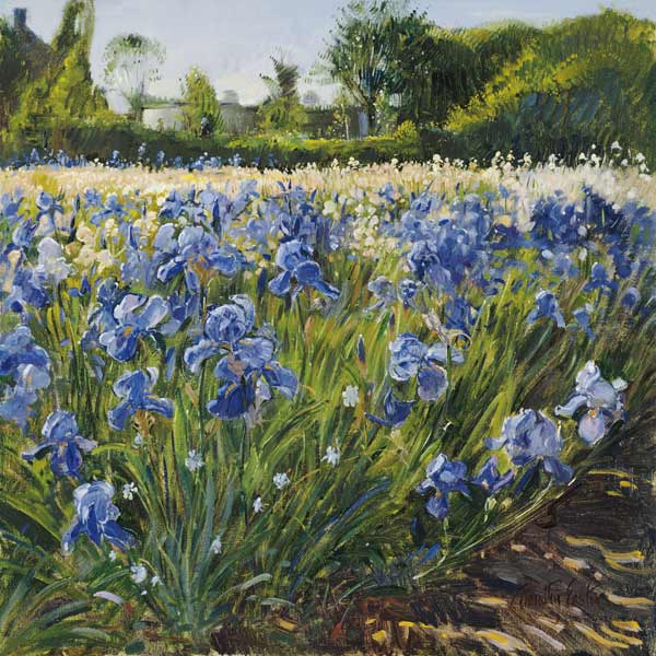 Above the Blue Irises von Timothy  Easton