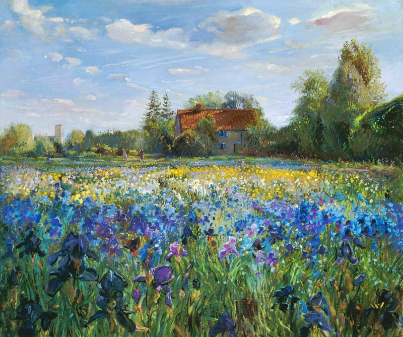 Evening at the Iris Field von Timothy  Easton
