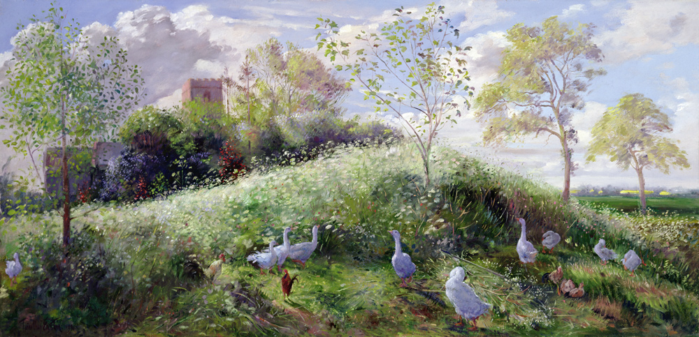 Mount in May  von Timothy  Easton