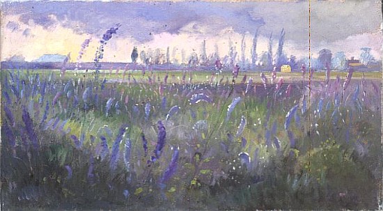 Delphiniums and Passing Storm von Timothy  Easton