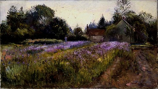 Iris Field and the Old Chapel, Burgate, 1994  von Timothy  Easton