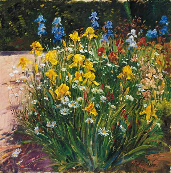 Oxeye Daisies Against the Irises (oil on canvas)  von Timothy  Easton