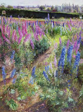 Delphiniums and Hoers, 1991 
