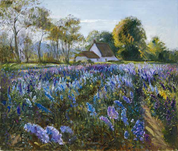 October Delphiniums (oil on canvas) 