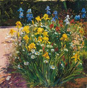 Oxeye Daisies Against the Irises (oil on canvas) 