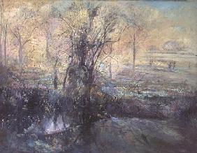 Wood Edge with Lifting Mist, 1991 