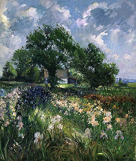 White Barn and Iris Field, 1992  von Timothy  Easton