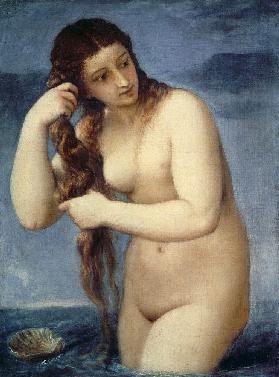 Venus Anadyomene Um 1518/19