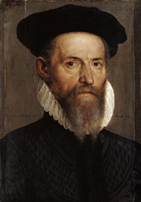 Bildnis des Thomas Erastus. 1582