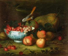 Still Life of fruit with a Finch