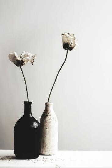 Schwarz-weiße Vase Nr. 2