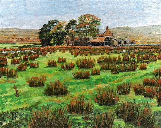 Farm Cumbria von Trevor  Neal