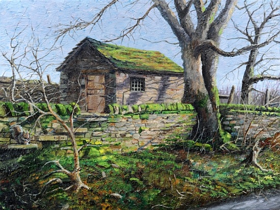 Stone Barn, Alport, Derbyshire von Trevor  Neal