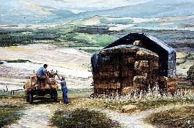 Haymaking, Volterra, Tuscany (oil on canvas) 