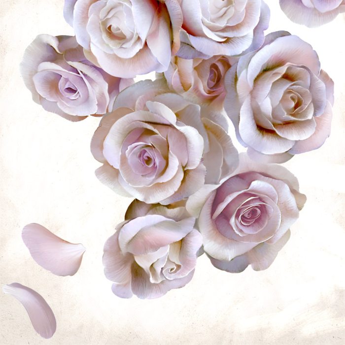 Roses Of Light von Udo Linke
