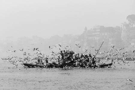Früher Morgen am Ganges