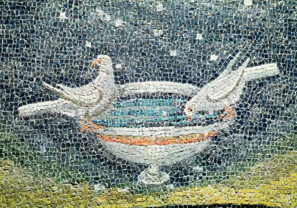 Doves drinking from a bowl von Unbekannter Künstler