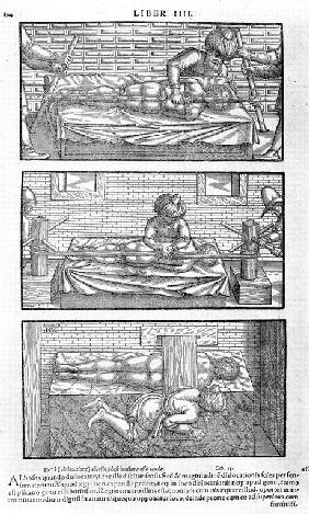 Illustration aus "Liber canonis de medicinis cordialibus" von Avicenna 1556