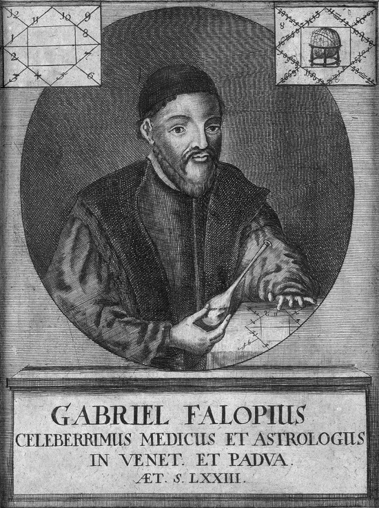 Porträt von Gabriele Falloppio (1523-1562) von Unbekannter Künstler