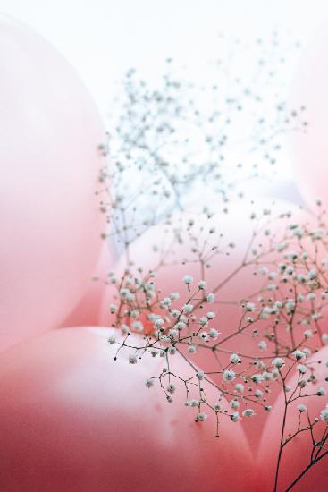Blüten und Luftballons – Momente wie dieser