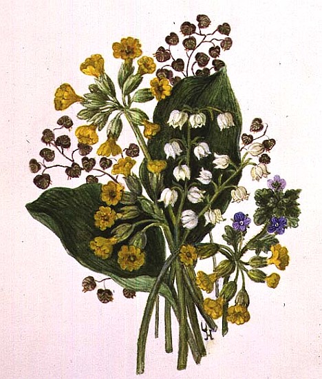 Lily of the Valley and Cowslips (w/c on paper)  von Ursula  Hodgson