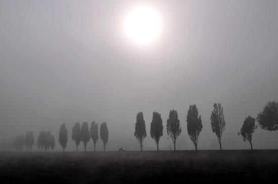 Nebel löst sich auf von Uwe Zucchi