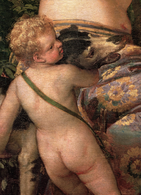 Cupid, detail from Venus and Adonis von Veronese, Paolo (eigentl. Paolo Caliari)