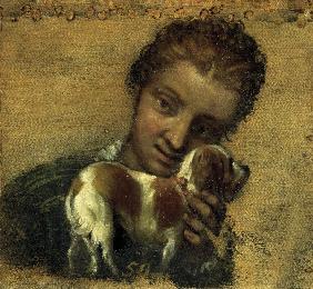 P.Veronese, Young woman with dog