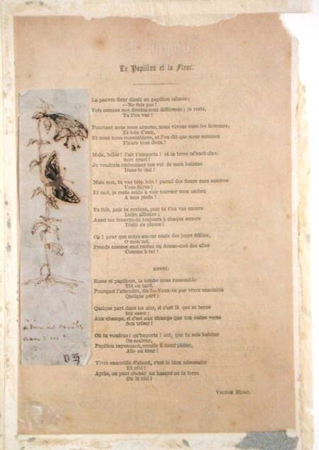 'Le Papillon et la Fleur', poem with an illustration of butterlies from 'Les Chants du Crepuscule' von Victor Hugo