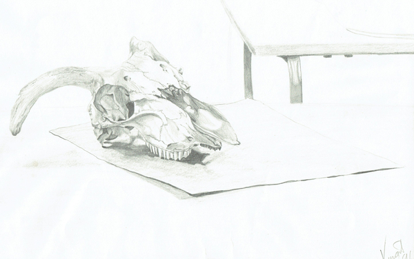 Skull von Vincent Alexander Booth