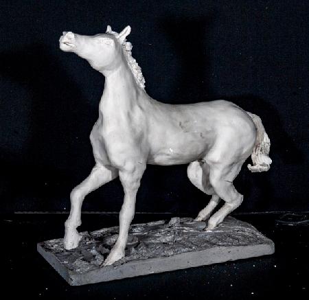 White Stallion 1998