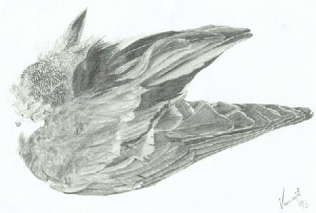 Wing 1996