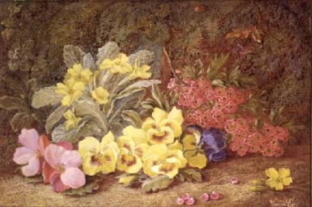 Roses and Primroses von Vincent Clare