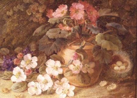 Still Life with Apple Blossom, Primula and Bird's Nest von Vincent Clare