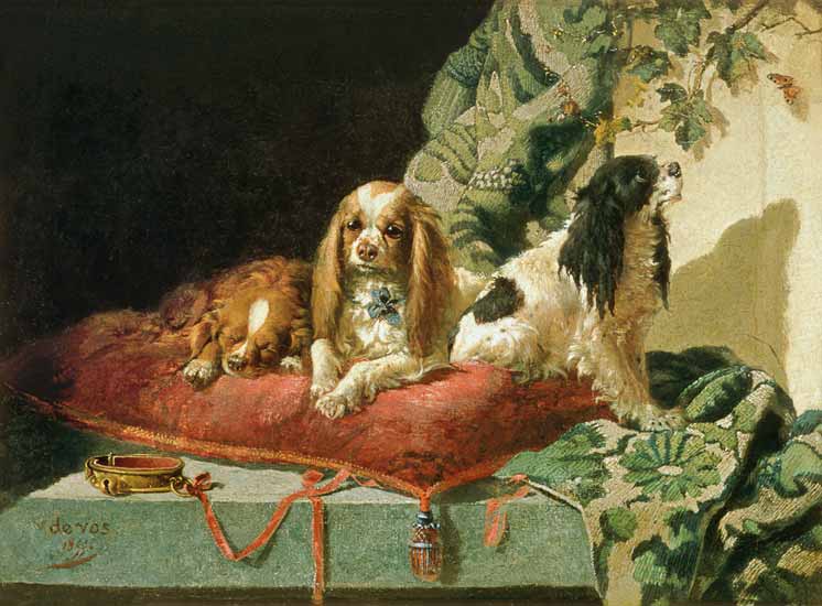 King Charles Spaniels von Vincent de Vos