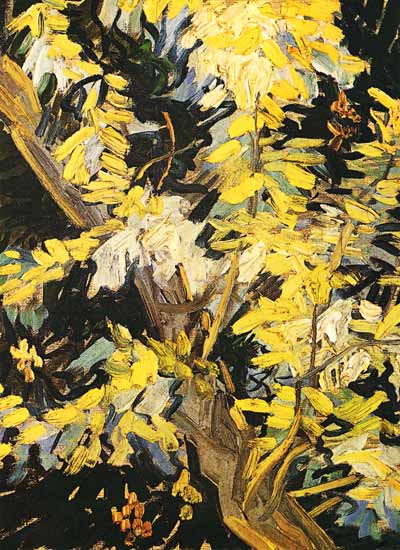 Blühender Akazienzweig von Vincent van Gogh
