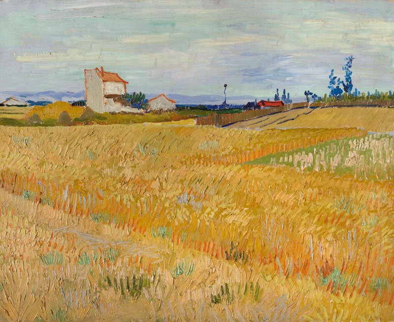 Cornfield von Vincent van Gogh