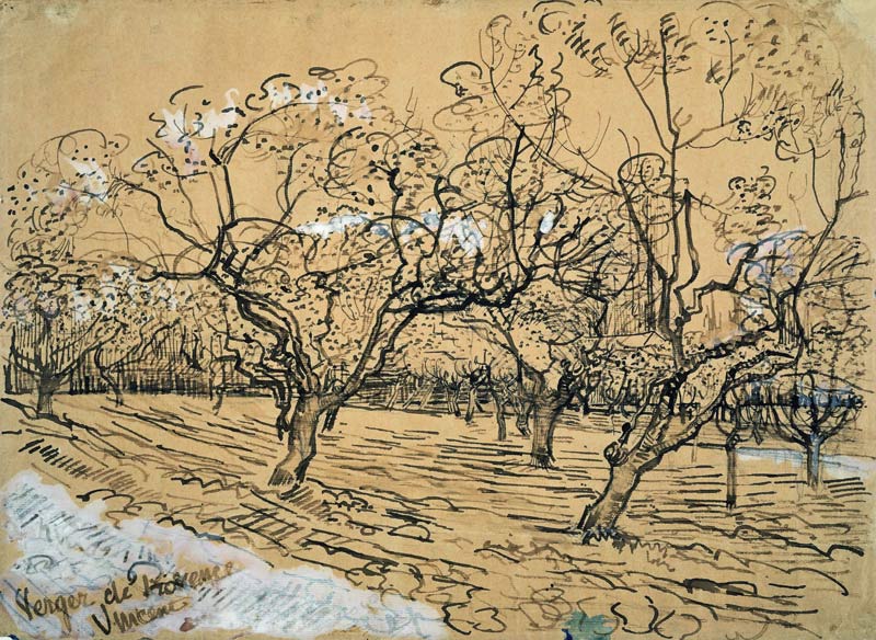 Orchard von Vincent van Gogh