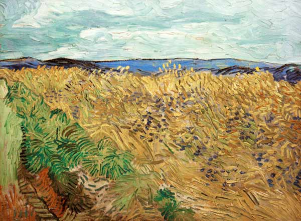 Feld, mit Kornblumen von Vincent van Gogh