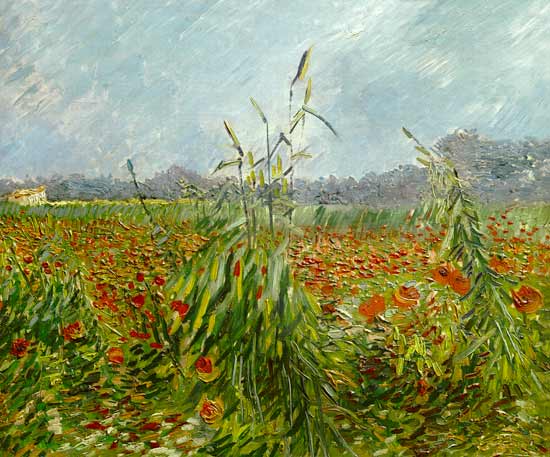 Grüne Kornhalme von Vincent van Gogh
